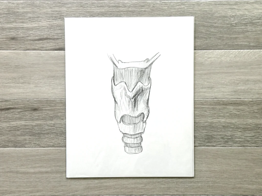 Larynx-1